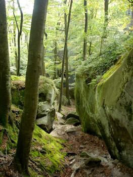Passage between rocks with green moss and maple trees. Carpathian mountains, Dovbush rocks photo