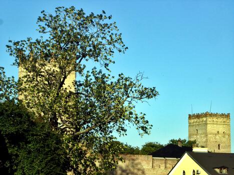 ver de lubart castillo y sus torre en un antecedentes de cielo. en el primer plano ramas de ceniza árbol foto