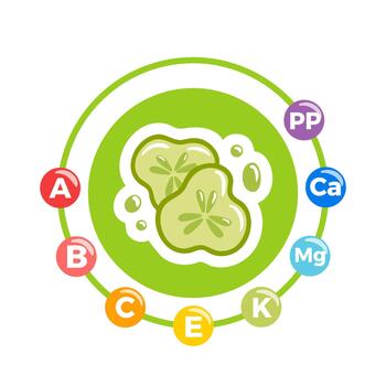 Cucumber with vitamins and minerals emphasized, featuring crisp green stems, glossy sliced pieces, and subtle nutrient icons, designed as a clean illustration. vector