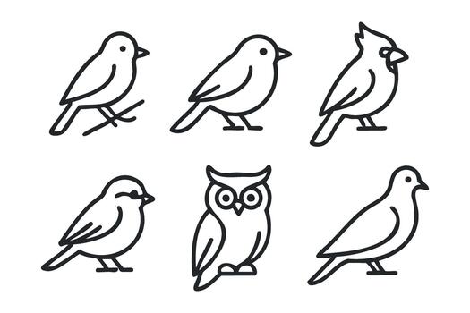 Bird collection featuring various species in simple line design vector
