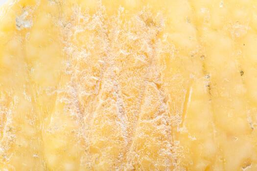 hermosa textura de Envejecido queso demostración Rico color y único superficie patrones foto