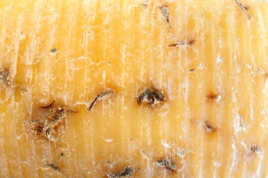 Close-up view of aged cheese showing texture and color variations in natural light photo