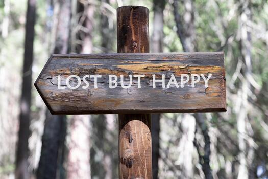 A wooden sign stands tall in the heart of a lush forest, declaring lost but happy. Sunlight filters through the trees, creating a tranquil and uplifting atmosphere for hikers photo