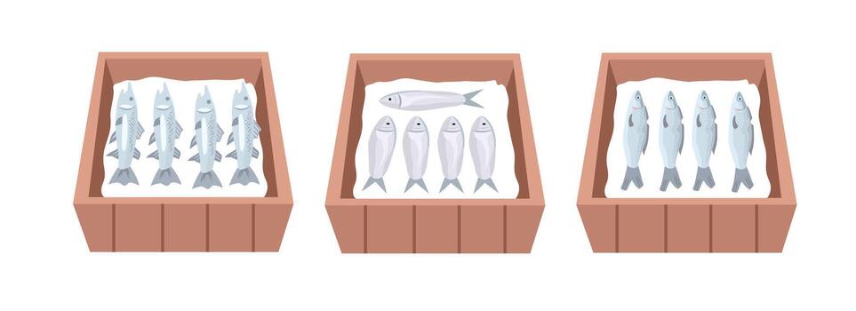 Fresh fish in wooden crates with ice. Iced Fresh Fish in Wooden Boxes. Fresh Fish Display in Wooden Crates. vector