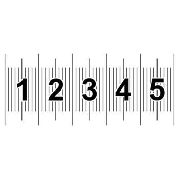 Close up ruler scale with bold numbers and precise tick marks vector