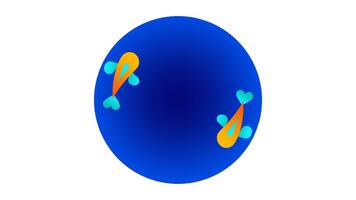 en grupp av fisk simning i en cirkulär rörelse, representerar harmoni, lagarbete, och naturlig vatten- mönster sett i under vattnet miljöer video