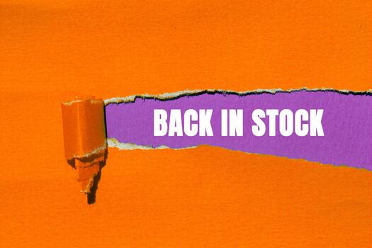 Back in Stock message written on ripped torn paper background. Conceptual Back in Stock symbol. Copy space. photo