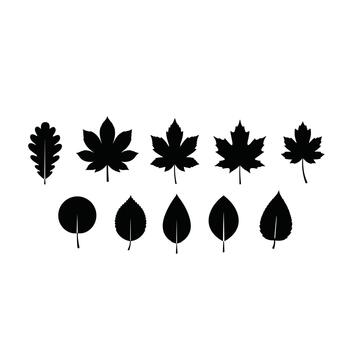 A collection of various leaf silhouettes showcasing different shapes and textures for design elements. vector