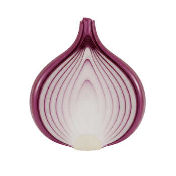 een gedetailleerd 3d renderen van een gehalveerd rood ui, presentatie van de ingewikkeld lagen van de groente in een schoon, geïsoleerd dwarsdoorsnede visie png