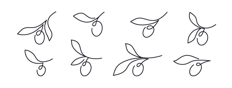 Olive branch. continuous line set. Minimal vector