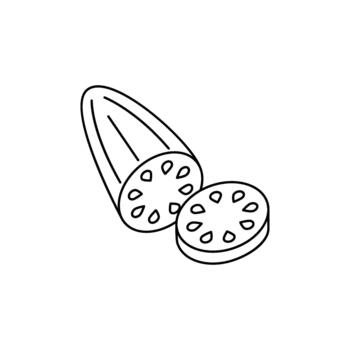 sencillo contorno ilustración de un rebanado loto raíz, exhibiendo sus distintivo circular modelo y segmentos, Perfecto para culinario y botánico temas vector