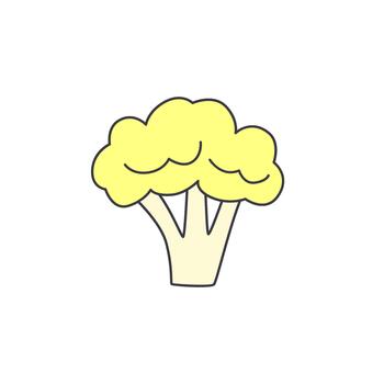 A simple, stylized illustration of a yellow cauliflower with its stem visible, isolated on a white background vector