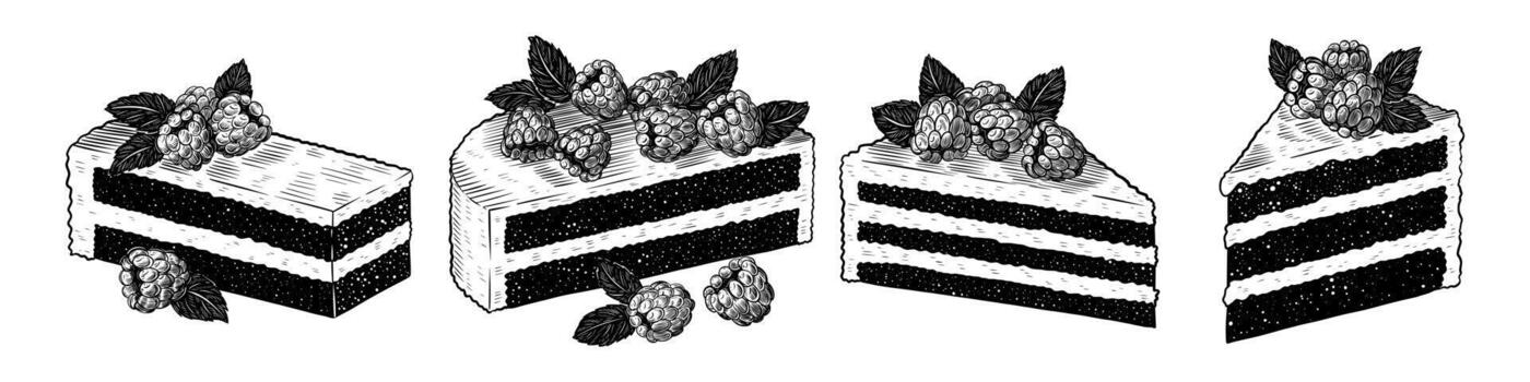 Set of holiday cakes with cream and raspberry in section. black ink isolated illustration in sketch line style vector