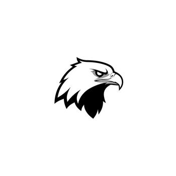 Intense eagle head profile with sharp gaze and determined expression. vector
