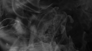White smoke swirling and rising against a black background. The vapor forms smooth, abstract shapes with soft gradients, creating a mysterious and atmospheric visual effect. video