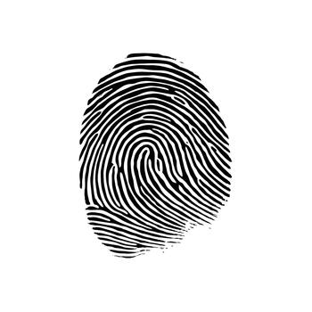 Fingerprint graphic isolated on white background digital security concept vector