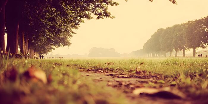 A low angle view of a tranquil park path lined with trees and distant people walking through a hazy landscape photo