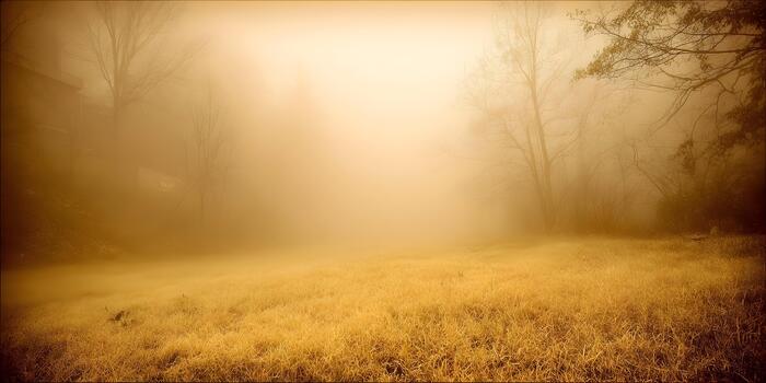 A golden field of dry grass sits below a misty sky with bare trees and a distant building shrouded in atmospheric fog photo