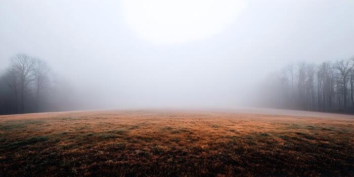 An atmospheric view of a wide field featuring autumn grass and a distant forest partially hidden by thick fog photo