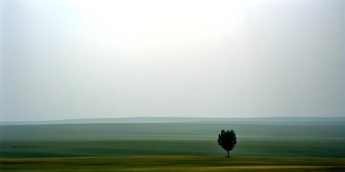 A solitary tree stands alone in a vast open green field under a hazy sky extending to the distant horizon photo