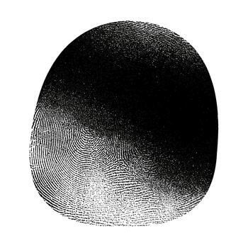 Close up of a human fingerprint isolated on a white background for security vector