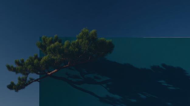 Pine tree casts shadow on teal wall under clear sky photo