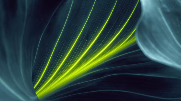 Vibrant green lines on dark foliage create stunning contrast photo