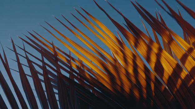 puesta de sol ligero fundición oscuridad en palma hojas foto