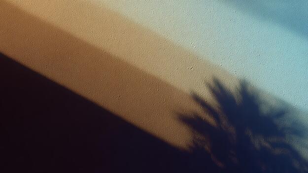 Decorative shadows cast on a wall from a palm tree photo