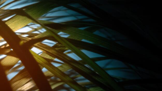 Beautiful close-up of green leaves with light patterns photo