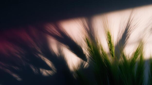Shadows from green plants create abstract patterns on wall photo
