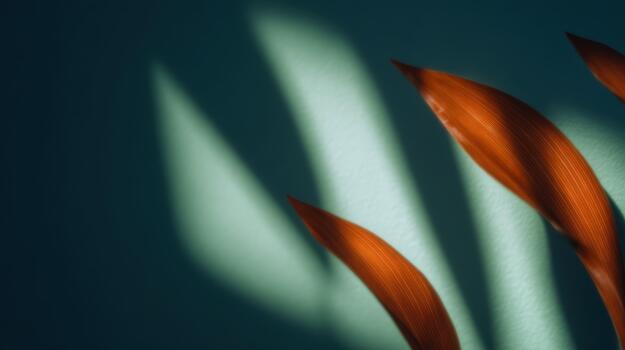 Shadows and light create art on a teal wall photo