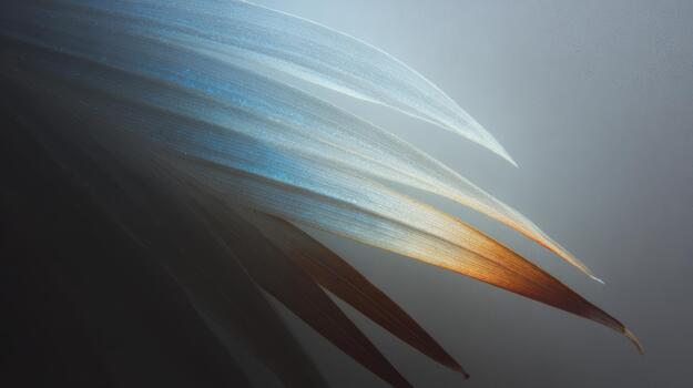 Beautiful close-up of leaves with soft light effects photo