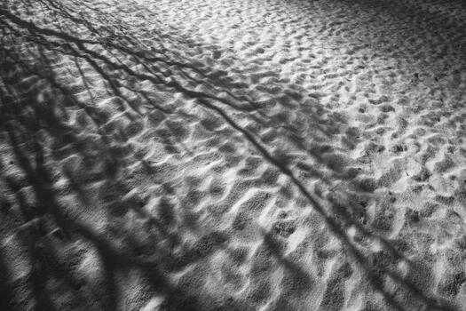 Shadows and patterns on the sandy ground during the day photo