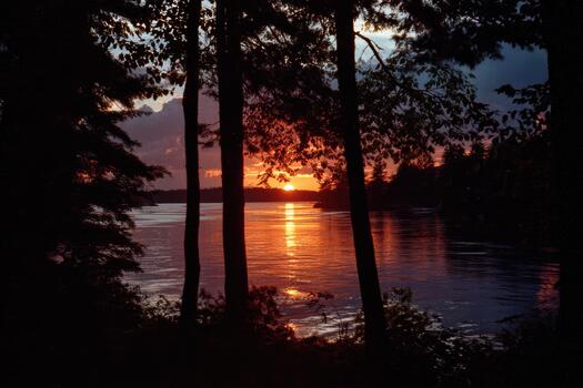 Sunset over the lake framed by tall trees photo