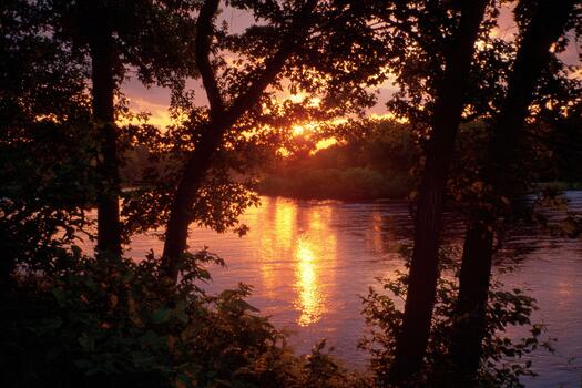 Sunset over the river framed by trees photo