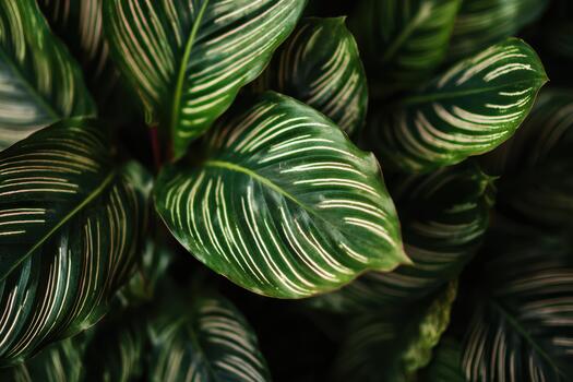 hermosa verde hojas con único blanco patrones foto