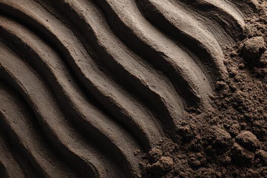 Wavy patterns in freshly tilled soil at sunset photo