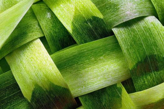 Detailed weaving of green leaves in a close-up view photo