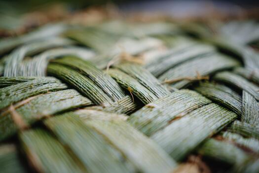 Detailed weaving of natural fibers creates beautiful pattern photo