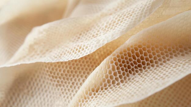 Close up of Honeycomb Tripe Showing Its Unique Textured Surface photo