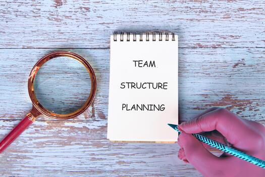 Conceptual text, phrase, words Team Structure Planning The concept of development and business, strategy and growth. A place to copy photo