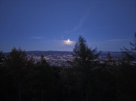 silhouetted trees frame glowing moon, serene nighttime shot of city skyline with shining moon and trees photo