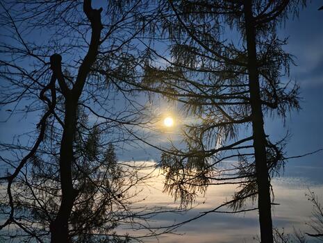 please provide specific text to transform, cannot generate variations without original text content photo