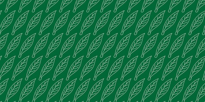 Botanical pattern with stylized white line art leaves on a green background. Simple and elegant graphic for nature-themed projects vector