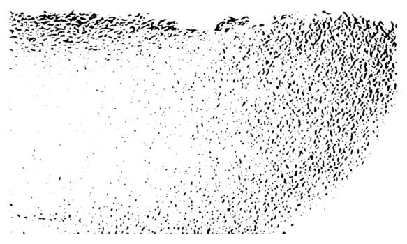 Black and White Grain Texture Background with Abstract Noise Dust Speckled Pattern Design vector