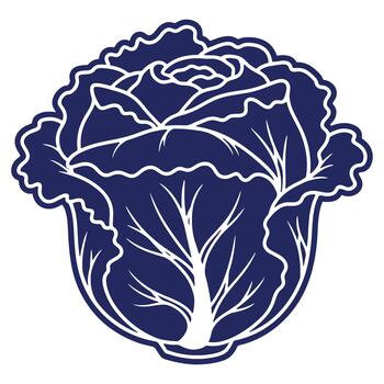 Stylized cabbage illustration in deep blue and white for use in menus or web design projects vector