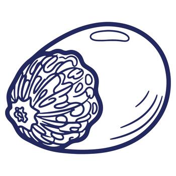 Outline illustration of a pomegranate fruit with visible seeds and a smooth rind creating a natural food design element vector