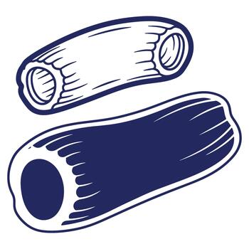 Illustration of rigatoni pasta shapes with a hand drawn style and a distinct color palette on a white background vector