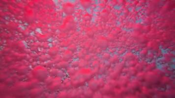 caótico movimento do bolhas dentro piscina água com multicolorido luzes. abstrato colorida fundo video